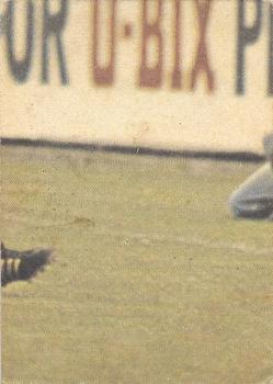 1976 Scanlens VFL #117 Kevin Sheedy Back